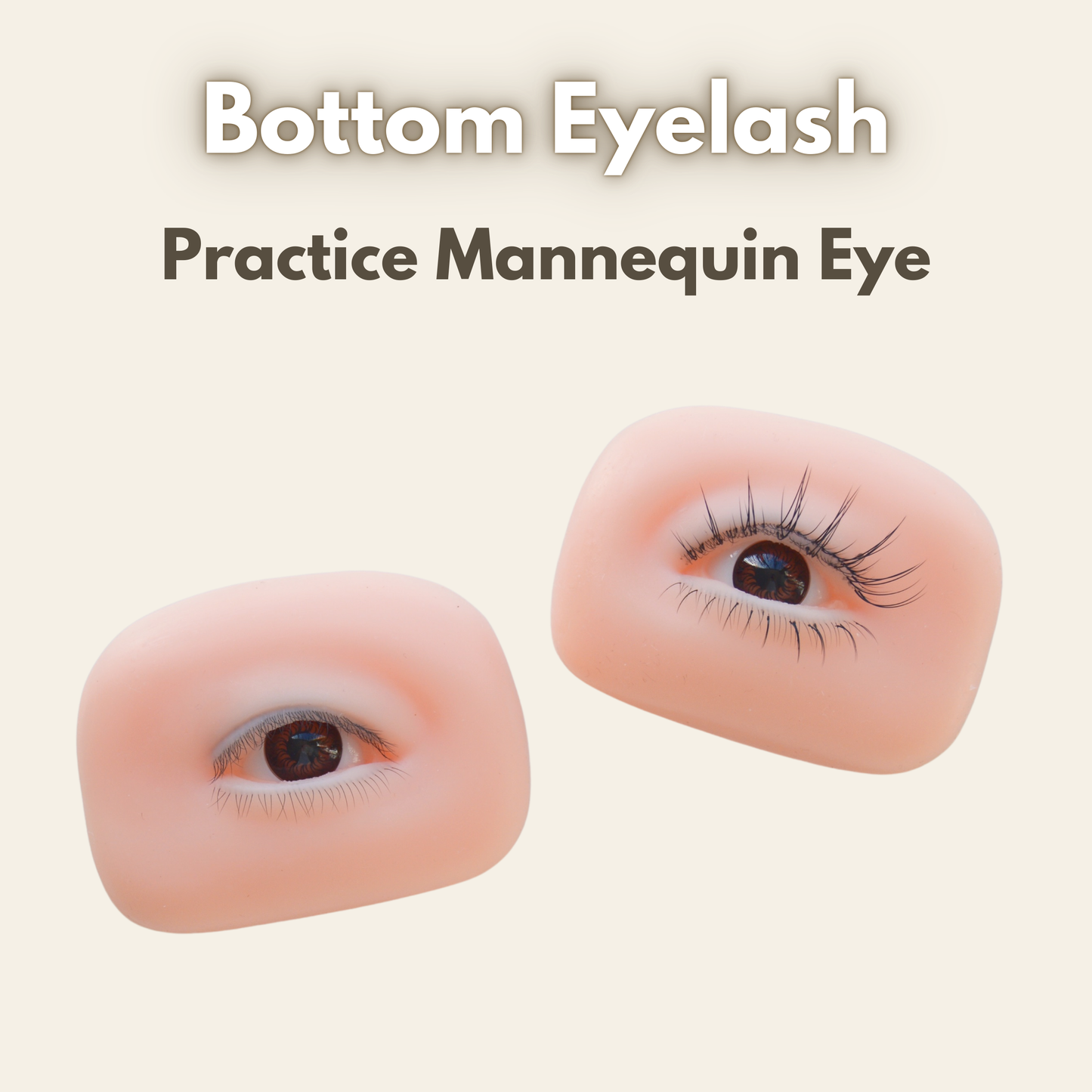 NEW* Realistic Bottom Lash Practice Mannequin Eye