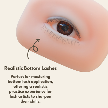 NEW* Realistic Bottom Lash Practice Mannequin Eye