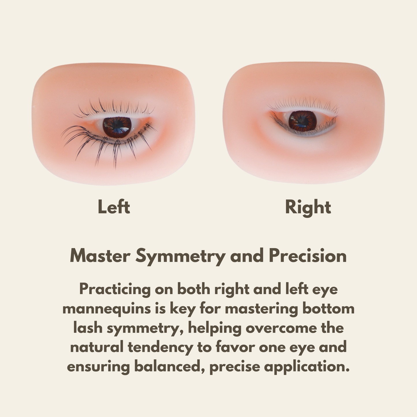 NEW* Realistic Bottom Lash Practice Mannequin Eye